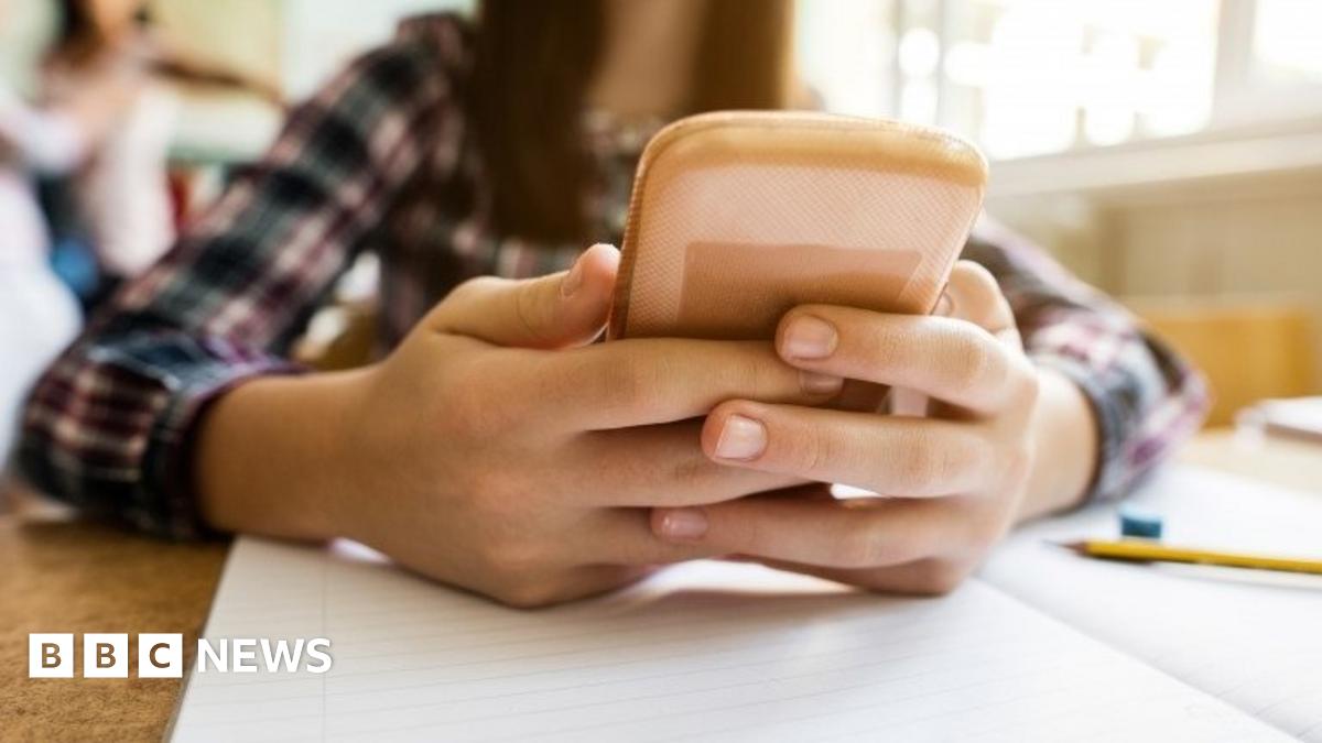 The shock and pain of cyber-bullying - BBC News