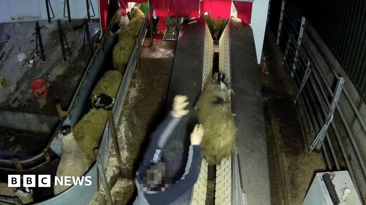 _95584266_8ee20d4f-89ab-45e8-