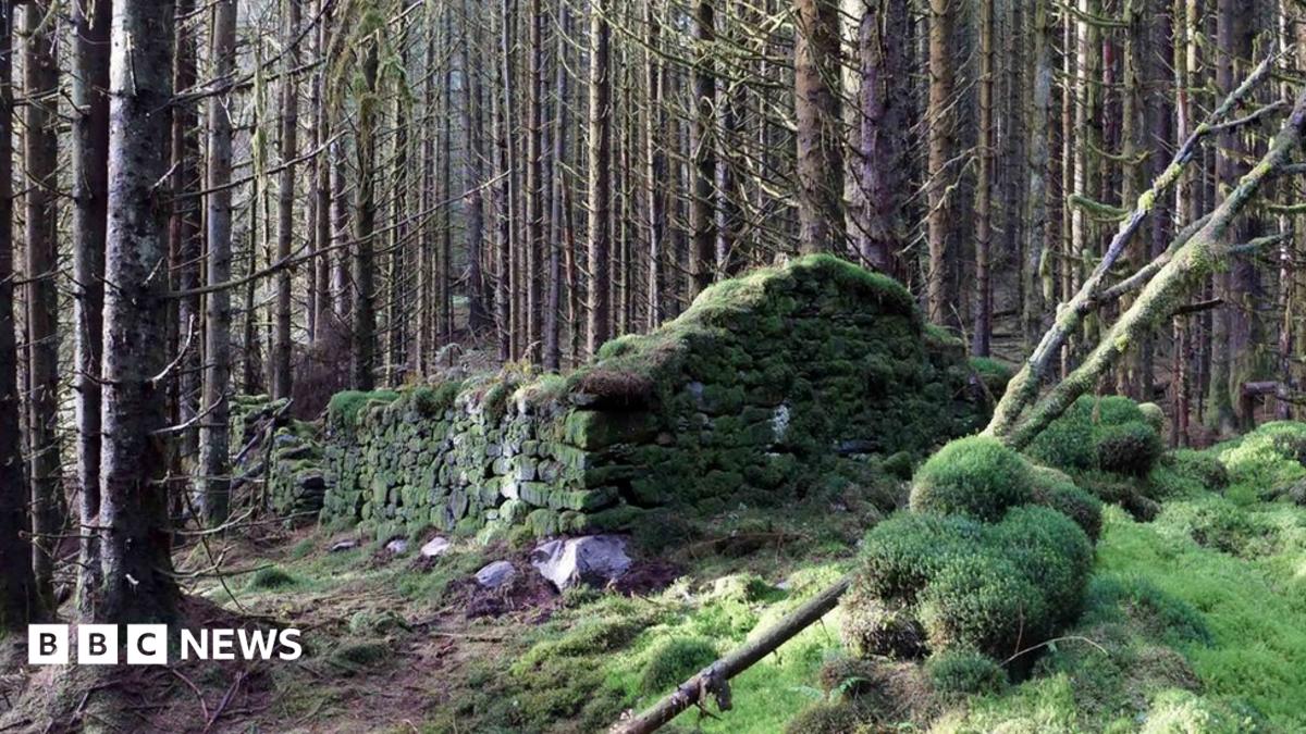 Enclosure in Skehanagh