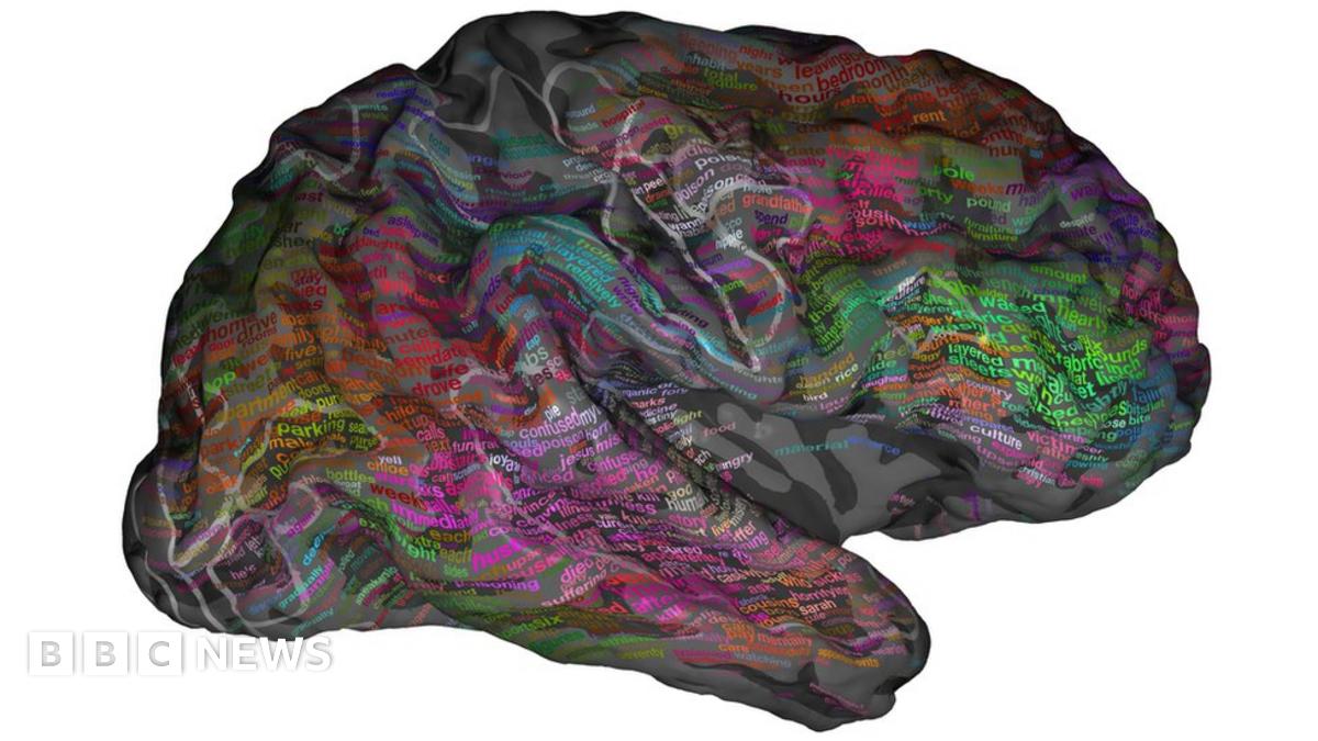 Brain's 'atlas' of words revealed - BBC News