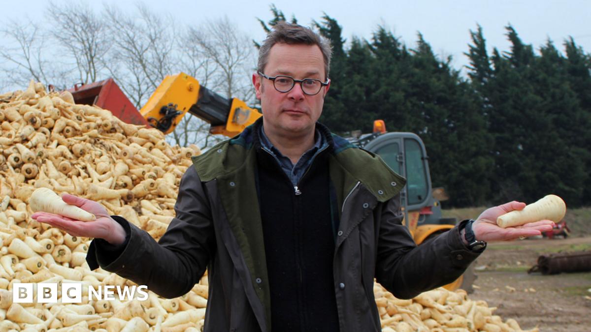 Viewpoint: The rejected vegetables that aren't even wonky