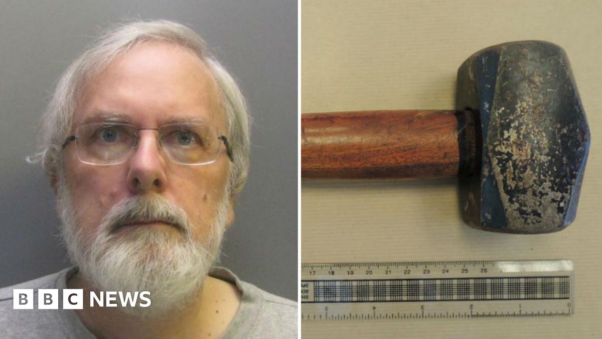 Hammer attack man detained after Cambridge lecturer wife murder attempt(02)