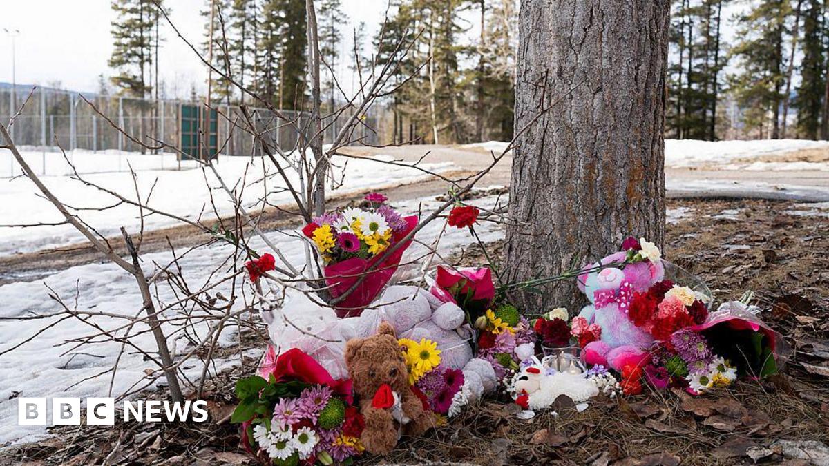 Flowers left near the scene of Tumbler Ridge shooting. 