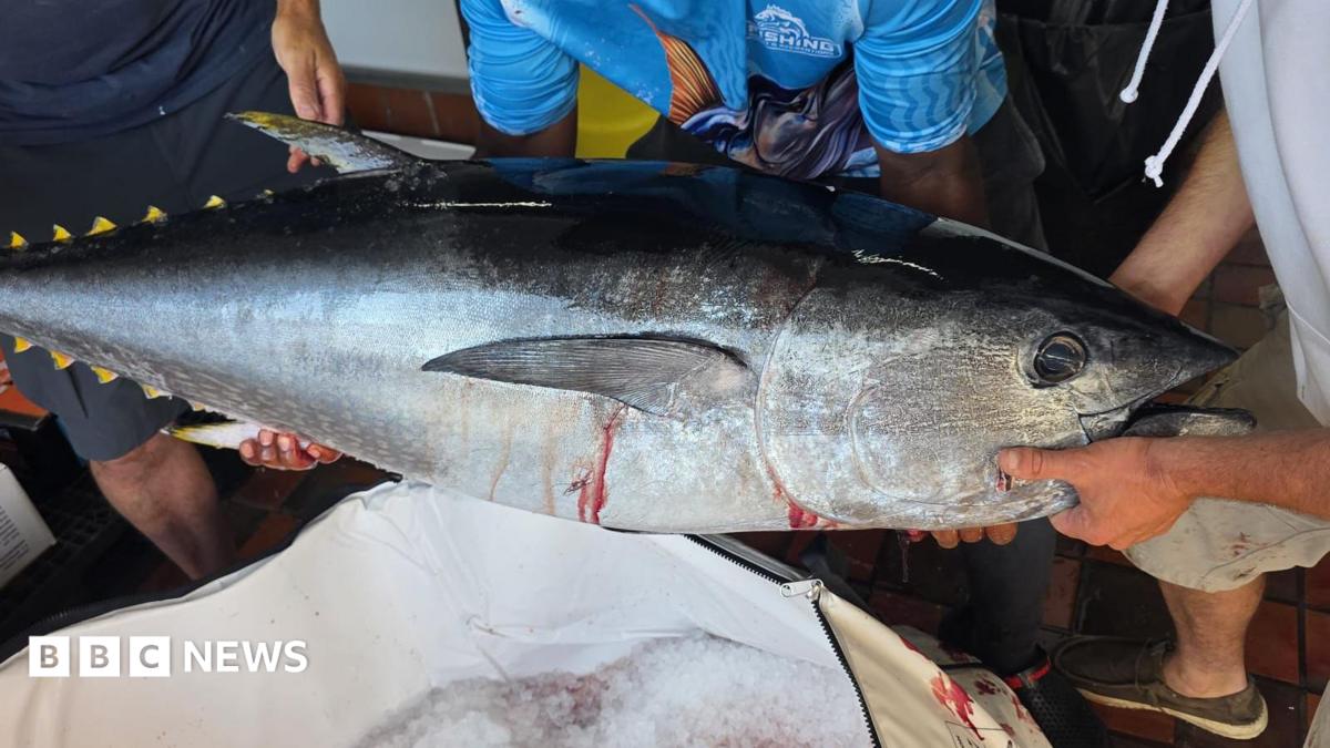 Jersey's only licensed tuna fisherman lands first catch