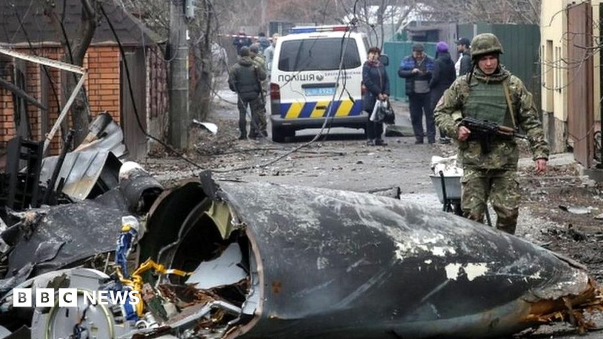 No-fly zone: What it means and why the West won't act - BBC News