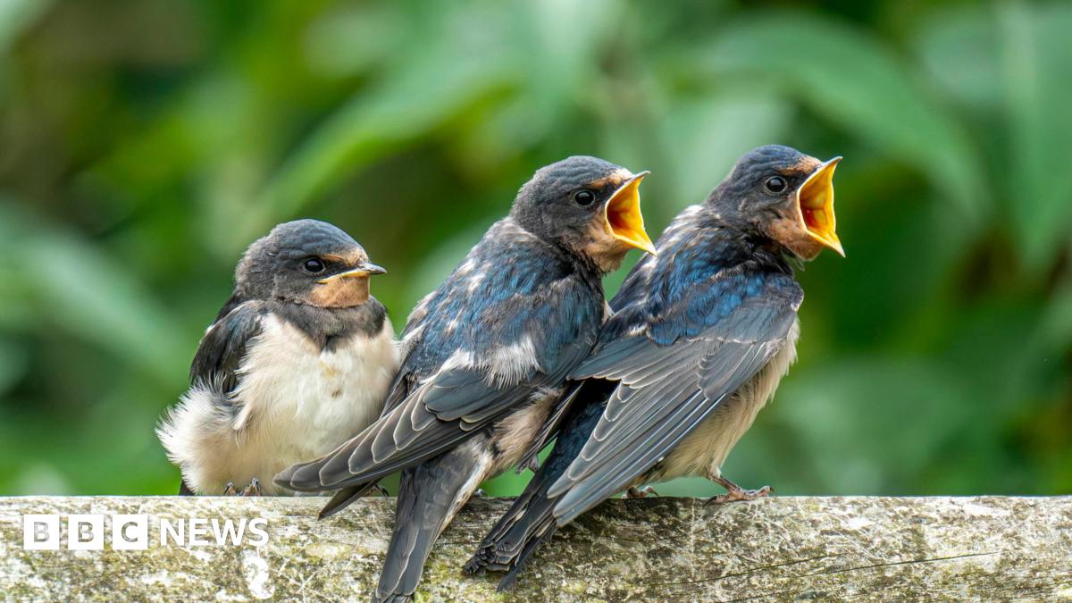 Spring wave of hot weather to be treat for nature lovers