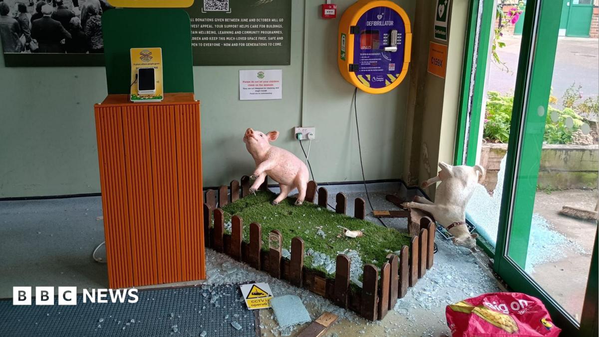 bbc.co.uk - Georgia Eadie - Heartbreak for Bristol city farm after third break in this year