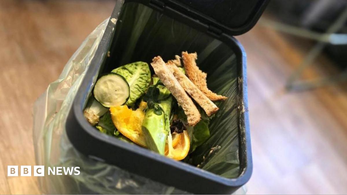 bbc.co.uk - Austen Shakespeare - North Tyneside Council apologises for food waste bin errors