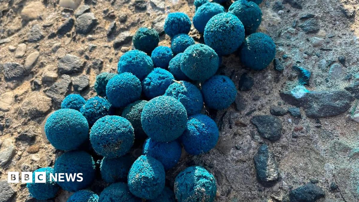 Hartlepool nuclear station cleaning balls on beaches