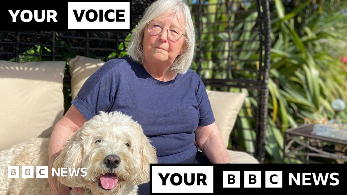 Vet bills: More pets being put down due to rising costs, BBC told