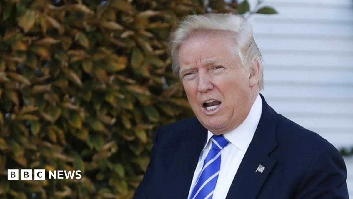 Artistic Trump Declared New Federal Holidays. He Once Said Us Has 'too Many' Scene in HD Artistic Trump Declared New Federal Holidays. He Once Said Us Has 'too Many' Scene in HD