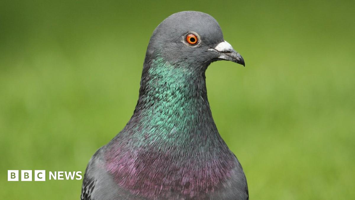 www.bbc.co.uk