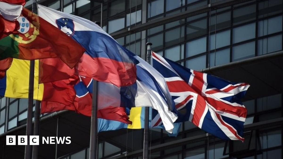 Brexit could lead to EU break-up - Swedish FM Wallstrom