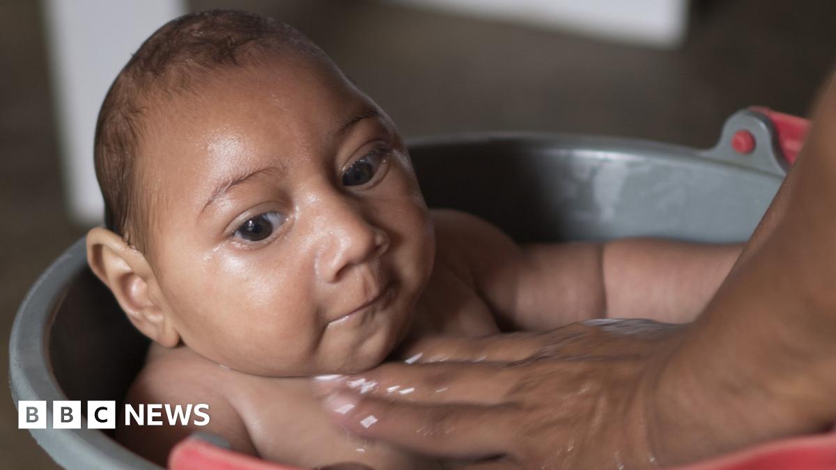 Zika virus: Outbreak 'likely to spread across Americas' says WHO - BBC News