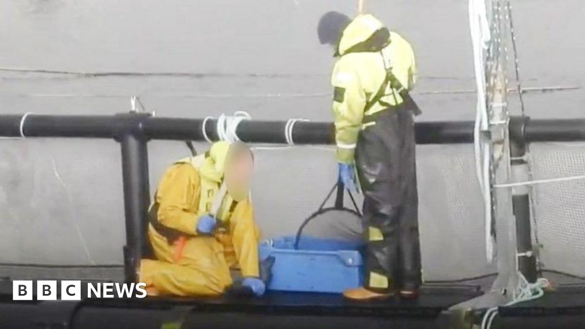 Two men in fluorescent safety gear stand on a platform at a fishing farm. One man on his knees swings a baton towards a fish he has pinned to the ground.