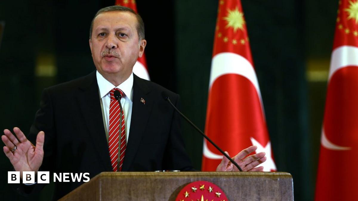 Turkey expects new talks on its EU bid next month - BBC News
