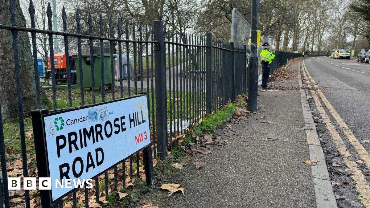 Primrose Hill: Driver arrested after pedestrians hit by car