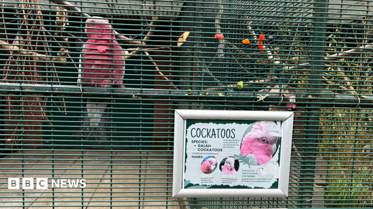 Closure of Southport Aviary Sparks Controversy