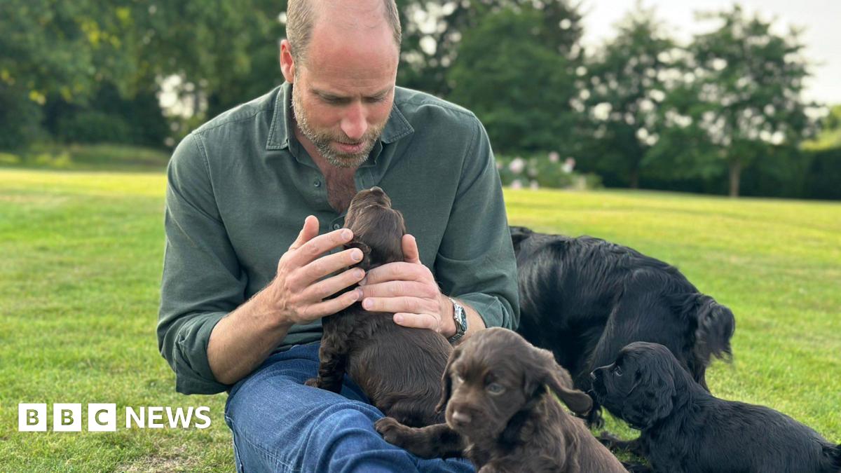 Prince William plays with puppies while sitting on the grass in a garden.
