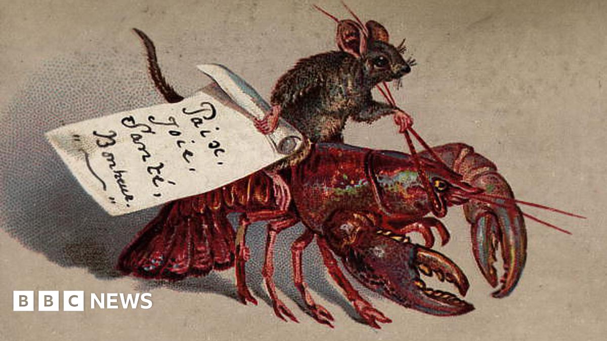 Frog murder and boiled children: 'Merry Christmas' Victorian style