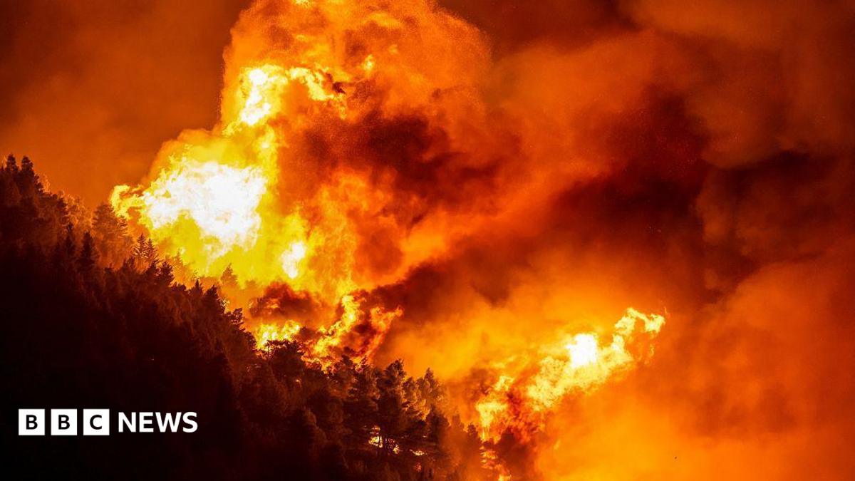 Dozens injured and thousands evacuated in Croatia wildfire