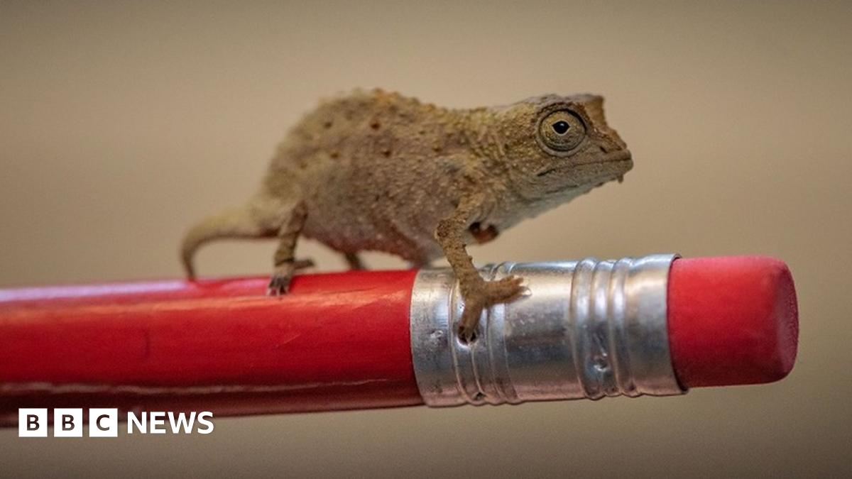 www.bbc.co.uk