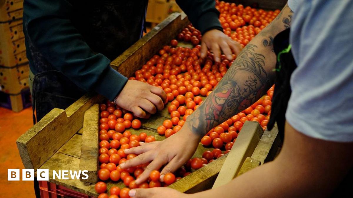 Trump’s Tariffs: How businesses around the world responded