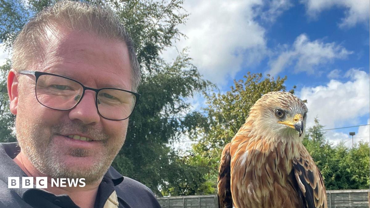 bbc.co.uk - Holly Phillips - Heat forces Lincolnshire bird of prey centre to cancel shows