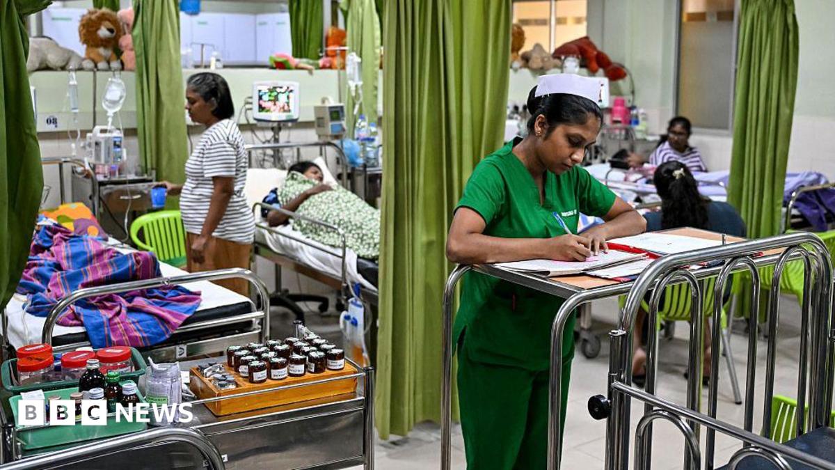 Dengue: What is the mosquito-borne disease that Sri Lanka is using drones to fight?