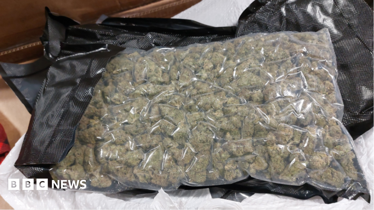 bbc.co.uk - Scott Hesketh - Drug mules flooding north of England face tougher penalties