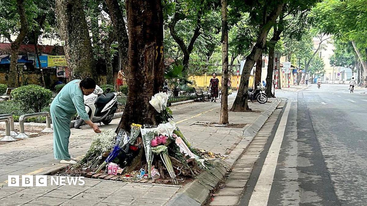 Rumours swirled after a Vietnamese teen was run over - then came a stunning admission