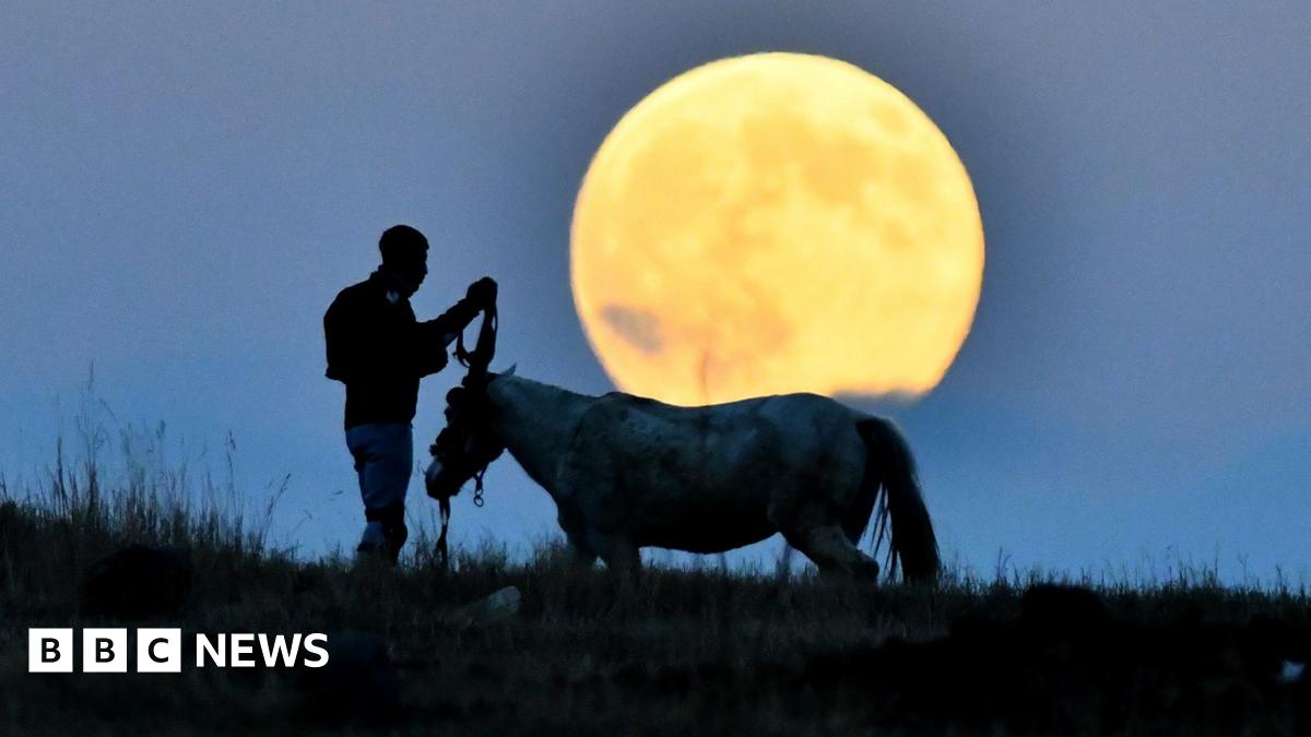 
                            In pictures: Beaver supermoon seen around the world