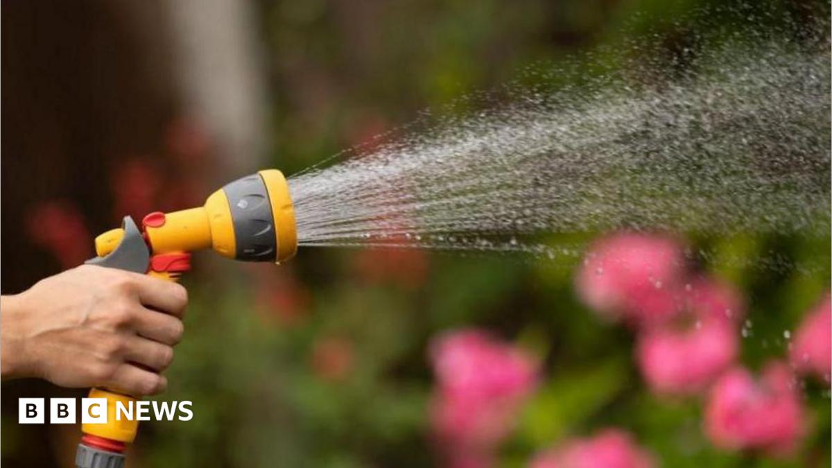 Yorkshire Water says hosepipe ban 'not expected this summer'