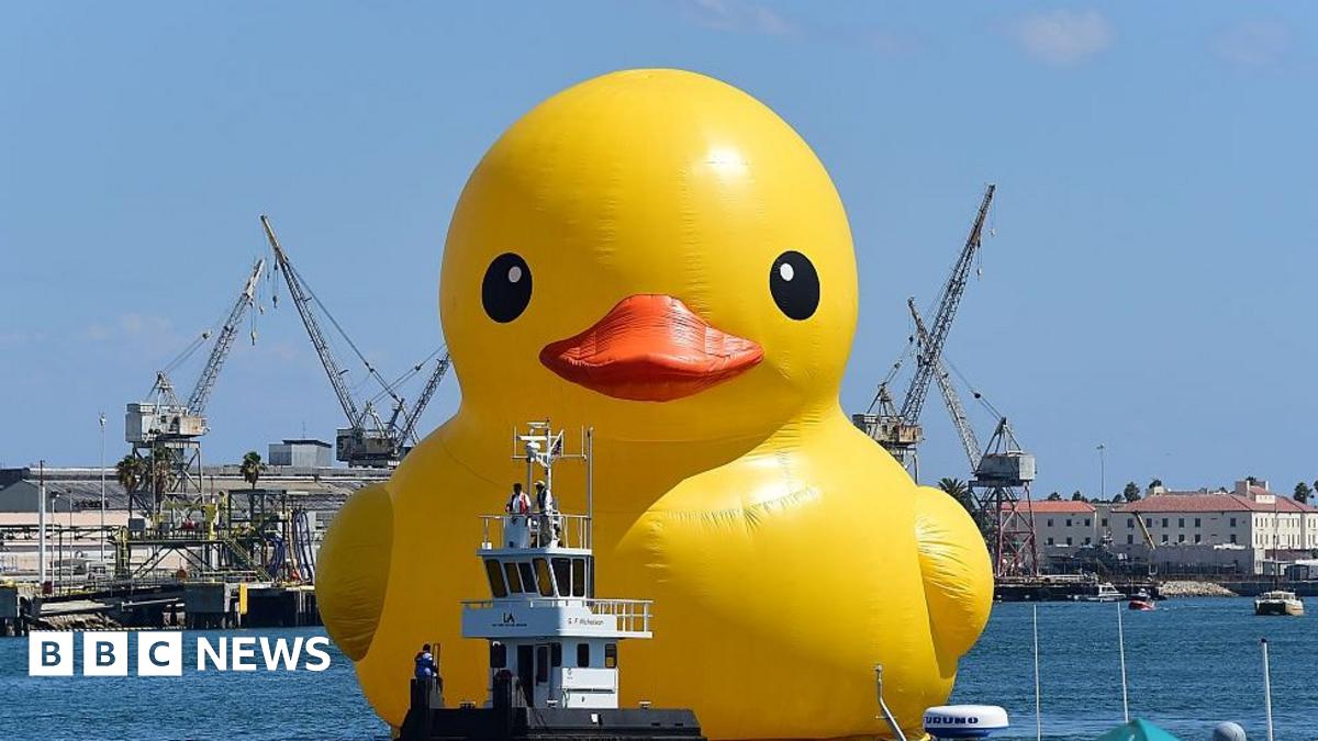 big yellow duck float