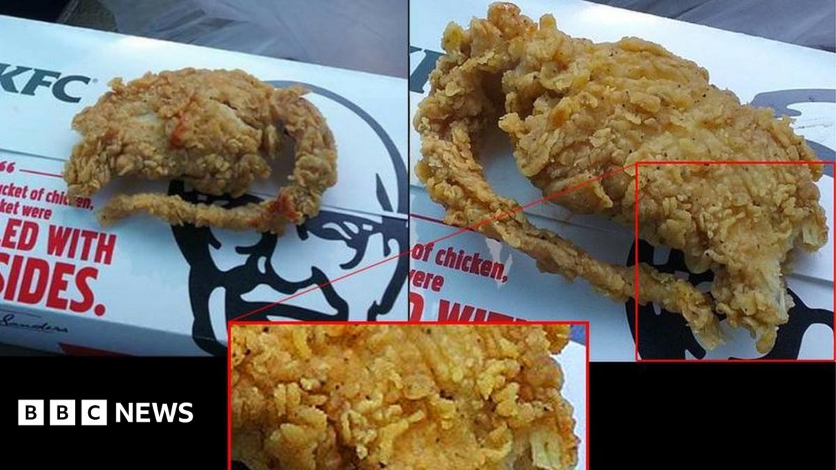 KFC Says Lab Test Shows fried Rat Is Actually Chicken BBC News KFC Says Lab Test Shows fried Rat Is Actually Chicken BBC News