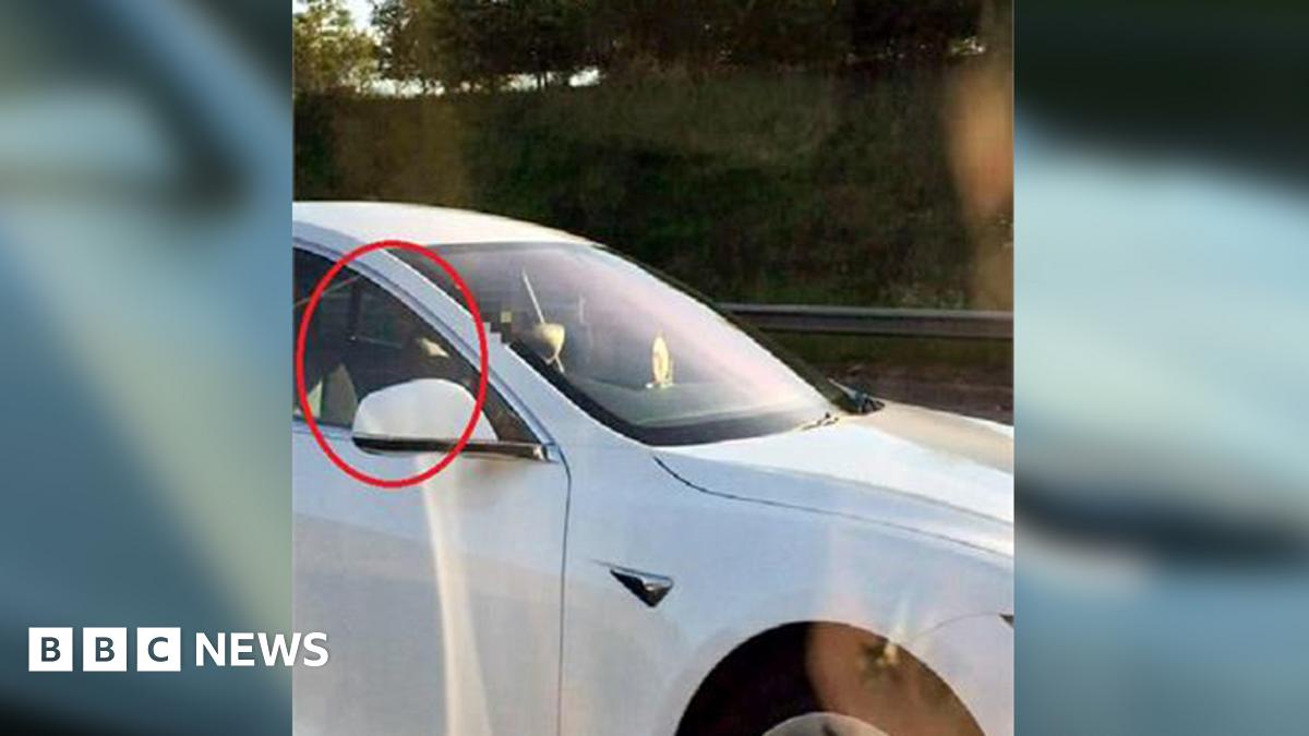 Tesla driver banned for M1 autopilot seat-switch - BBC News