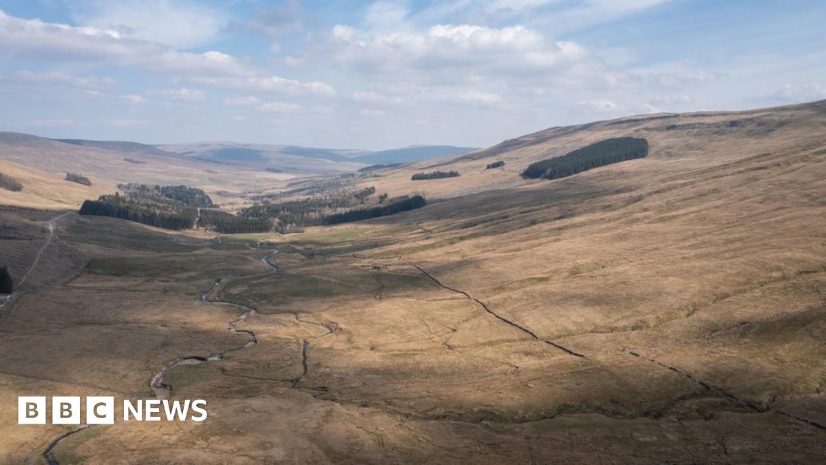 www.bbc.co.uk