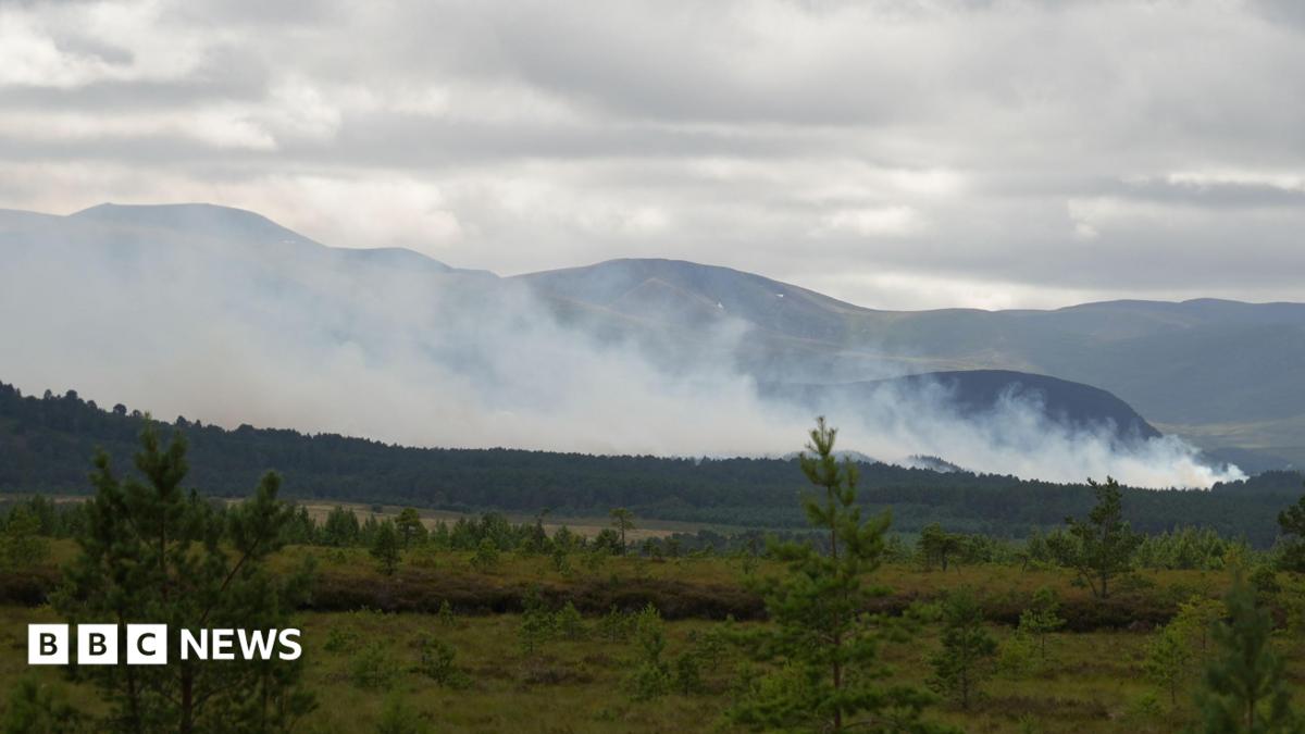 Escocia en Alerta Máxima: Gigantesco Incendio Forestal en los Cairngorms Desencadena Evacuaciones y Pone en Jaque un Ecosistema Único