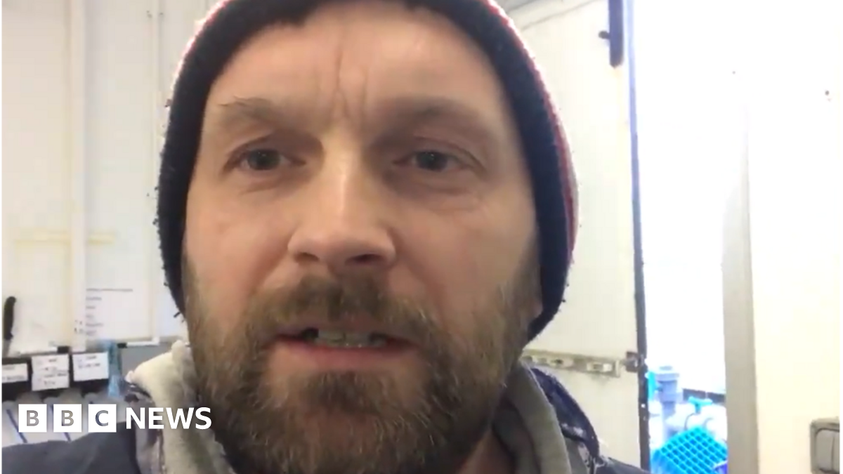 Brexit shellfish delays leave Scottish seafood rotting - BBC News