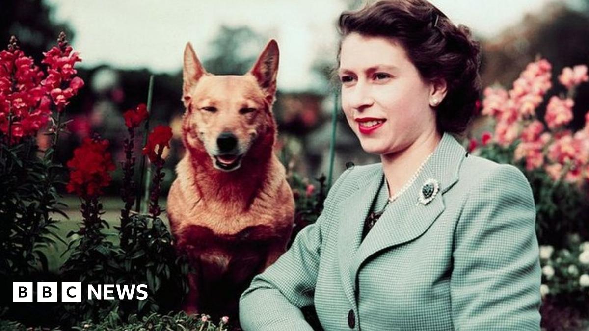 www.bbc.co.uk