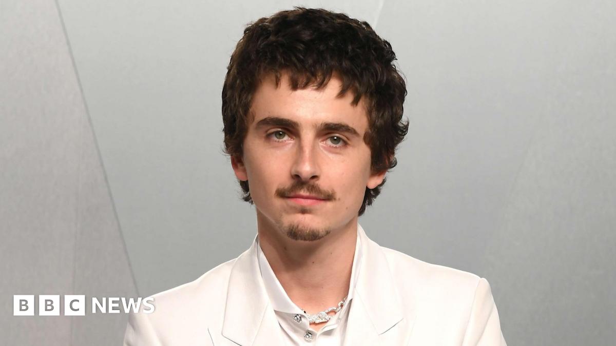 Timothée Chalamet praised by Royal Opera and Ballet boss for boosting ticket sales