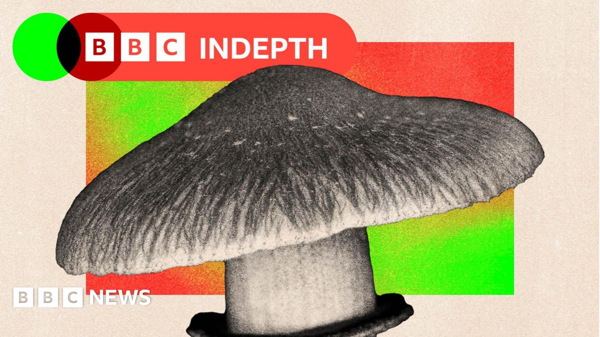 bbc.co.uk - Pallab Ghosh - Should the NHS really use magic mushrooms to treat mental health?