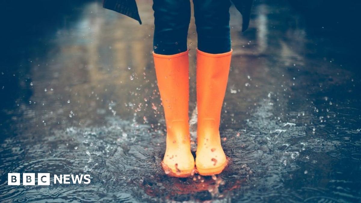 English rainy-day phrases explained by Susie Dent