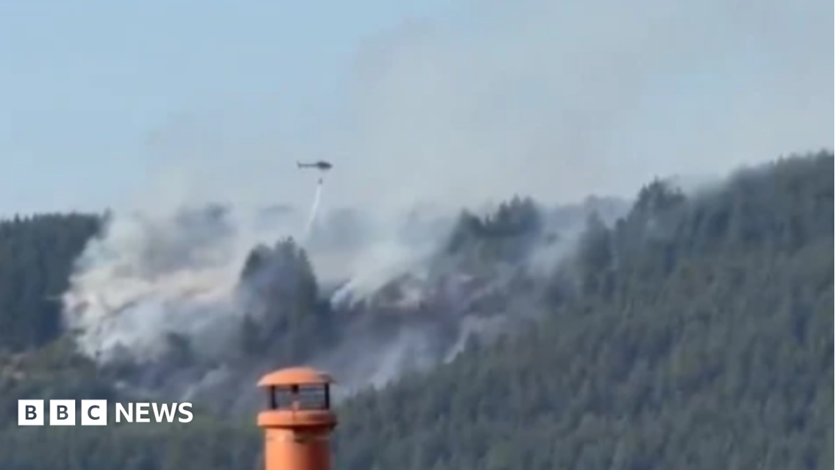 Disposable BBQ was likely cause of fire in Macclesfield forest | Manchester News Disposable BBQ was likely cause of fire in Macclesfield forest | Manchester News