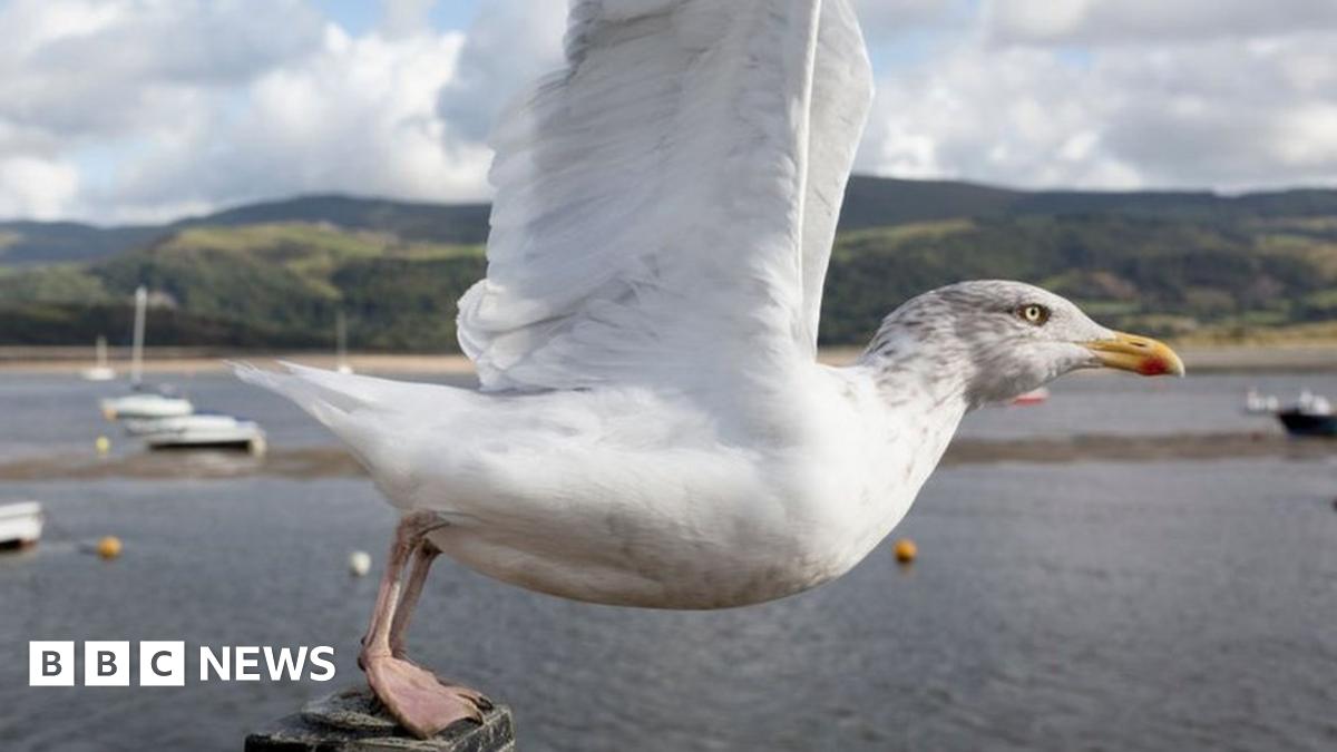 www.bbc.co.uk