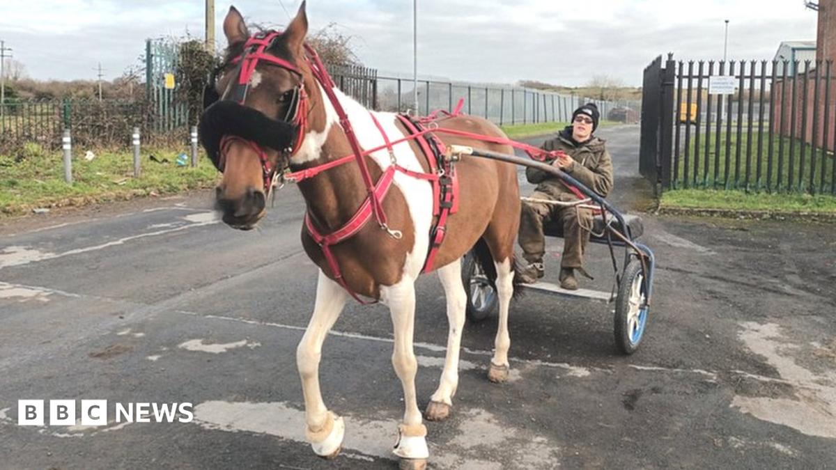 The Horses And Carts Racing On Ireland s Motorways BBC News the-horses-and-carts-racing-on-ireland-s-motorways-bbc-news