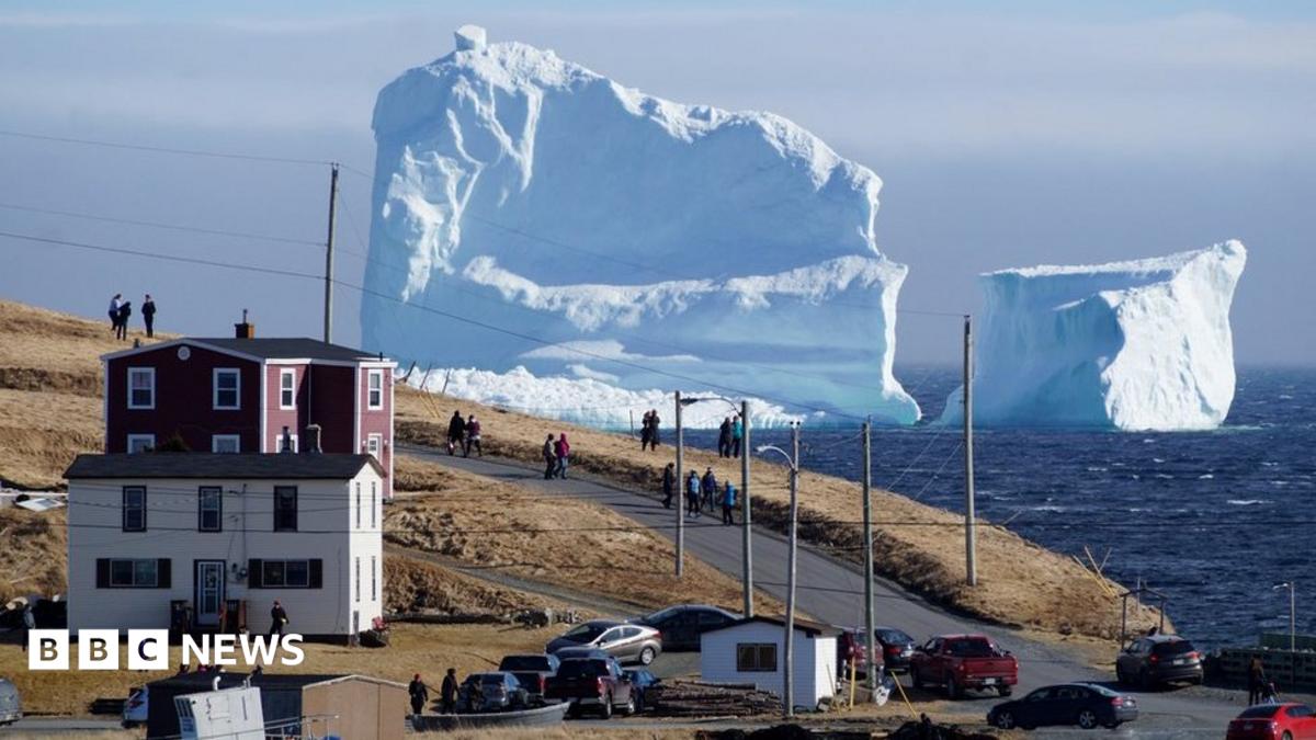 Iceberg tourists flock to Newfoundland town - BBC News