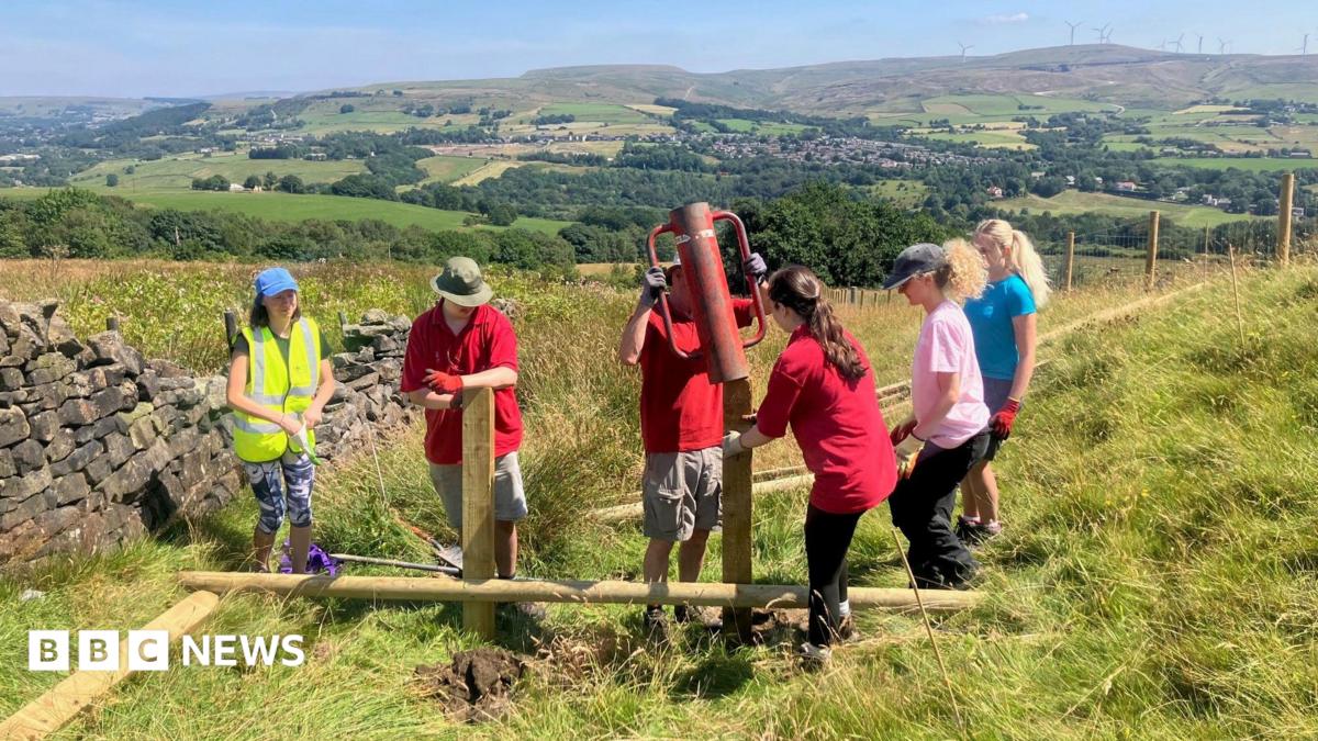 Leaky dams on Holcombe Moor to stop flooding and wildfires | Manchester News Leaky dams on Holcombe Moor to stop flooding and wildfires | Manchester News