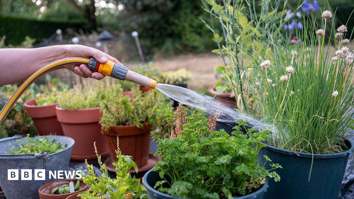 Your South West Water hosepipe ban questions answered