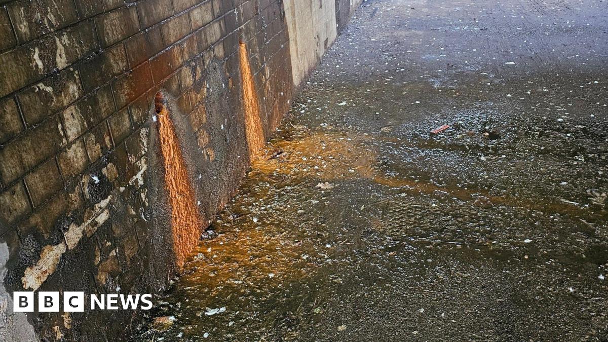 Call for 'health hazard' railway bridge clean up